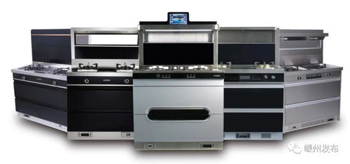 嵊州厨具携手苏宁易购，探索厨卫电商新模式